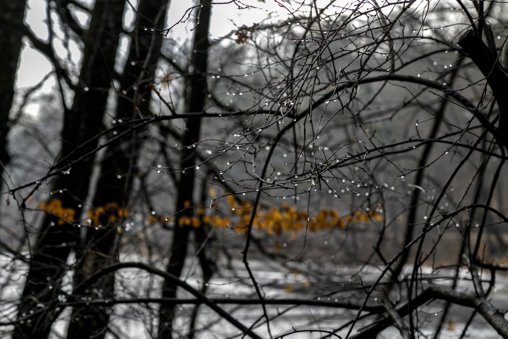 Rekreačná lokalita Železná studnička v Bratislave