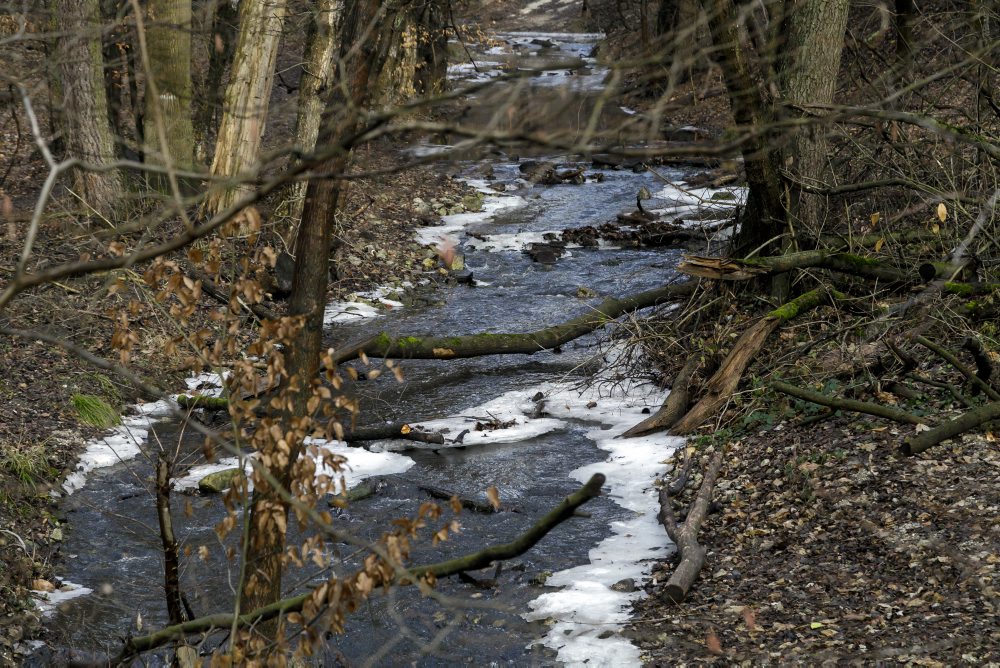 Rekreačná lokalita Železná studnička v Bratislave