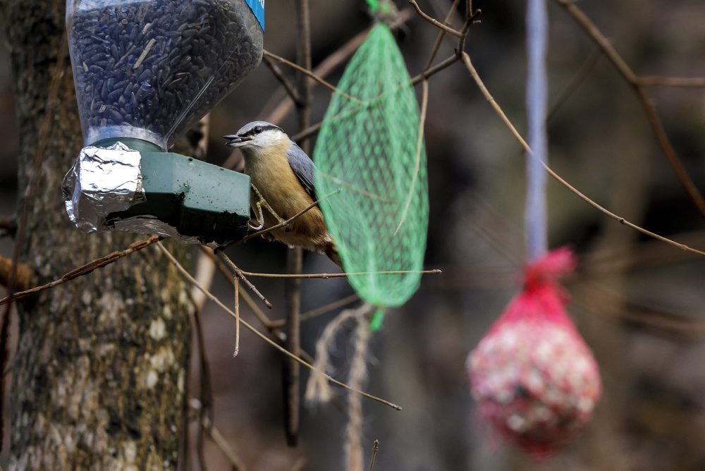 Rekreačná lokalita Železná studnička v Bratislave