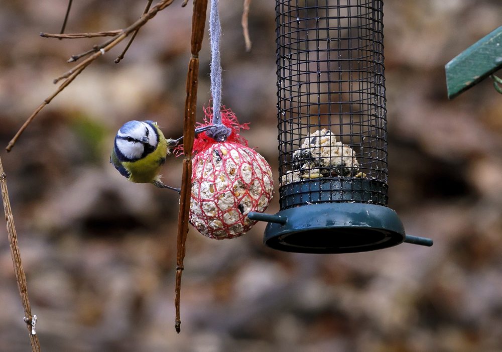 Rekreačná lokalita Železná studnička v Bratislave