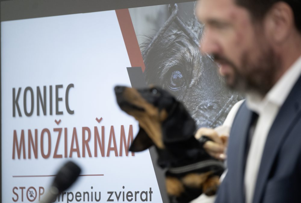 TK ministerstva pôdohospodárstva na tému - Koniec množiarňam: Stop utrpeniu zvierat