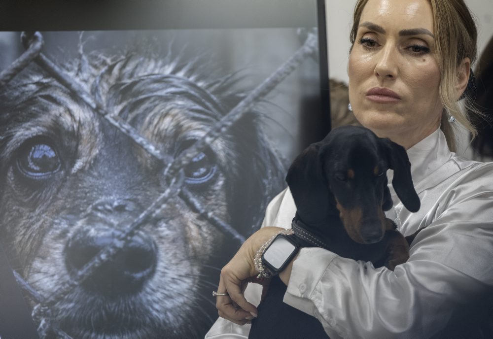 TK ministerstva pôdohospodárstva na tému - Koniec množiarňam: Stop utrpeniu zvierat