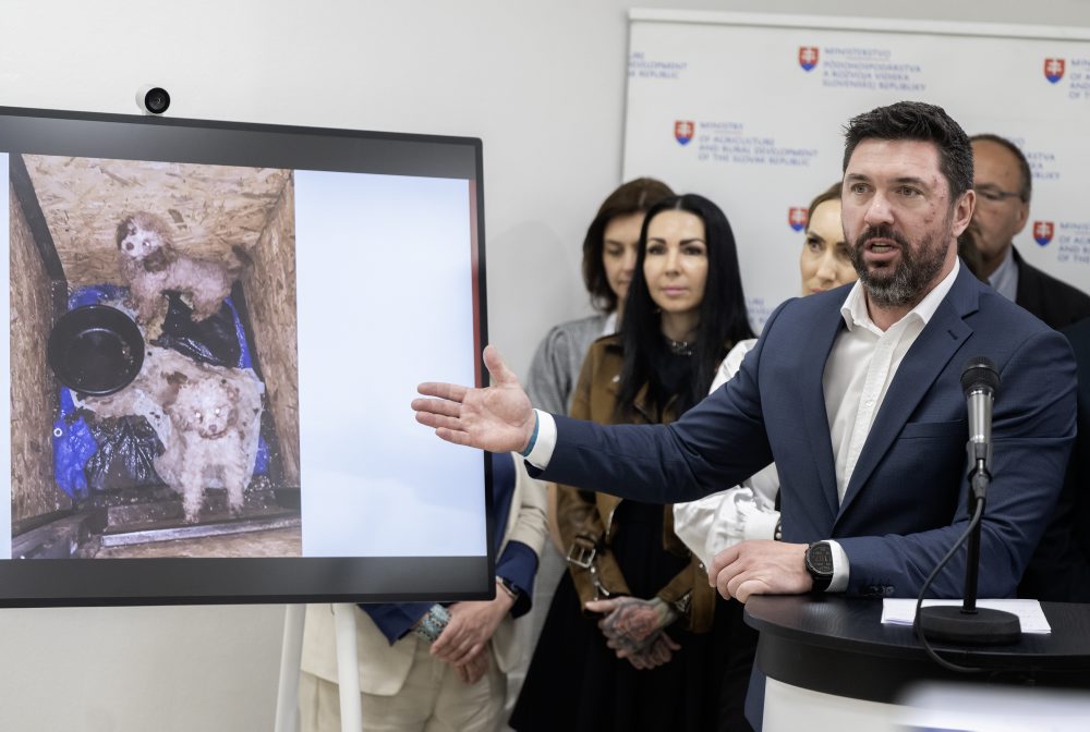 TK ministerstva pôdohospodárstva na tému - Koniec množiarňam: Stop utrpeniu zvierat