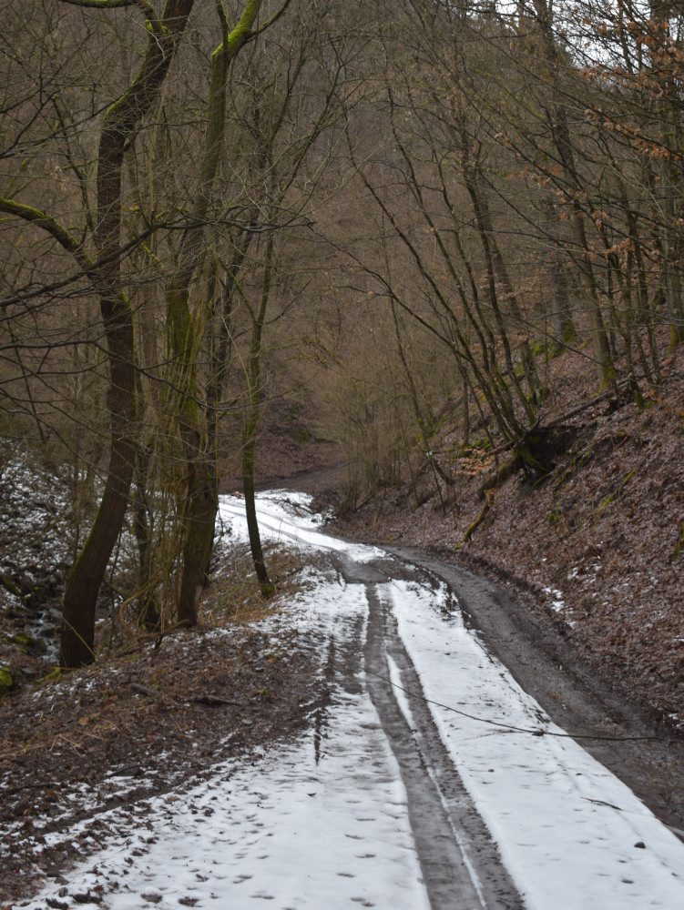 Dobrovoľníci26: Vďaka dobrovoľníkom otvoria v obci Brehy nový náučný chodník