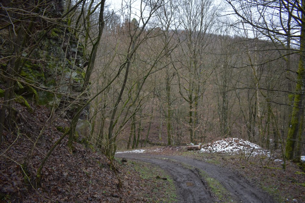 Dobrovoľníci26: Vďaka dobrovoľníkom otvoria v obci Brehy nový náučný chodník