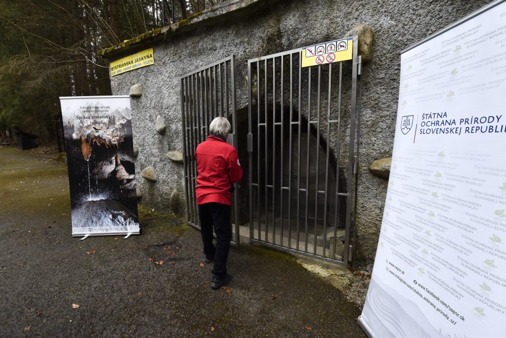 Bystrianska jaskyňa v Nízkych Tatrách
