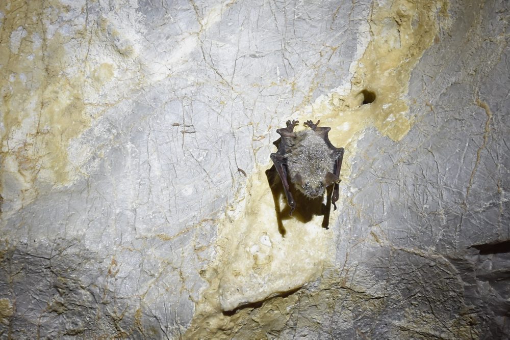 Bystrianska jaskyňa v Nízkych Tatrách