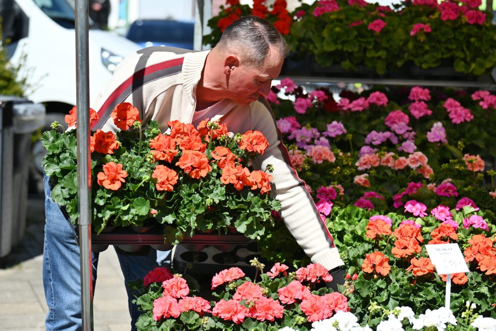 Flóra Fest 2026 v Seredi 