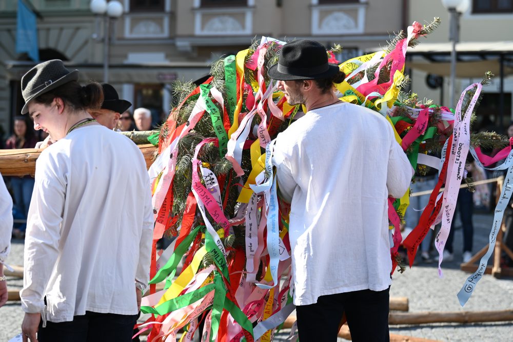 Stavanie mája na Trojičnom námestí v Trnave