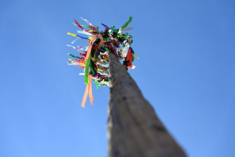 Stavanie mája na Trojičnom námestí v Trnave