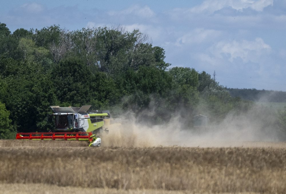 Žatva obilia medzi Slovenským Grobom a Chorvátskym Grobom 