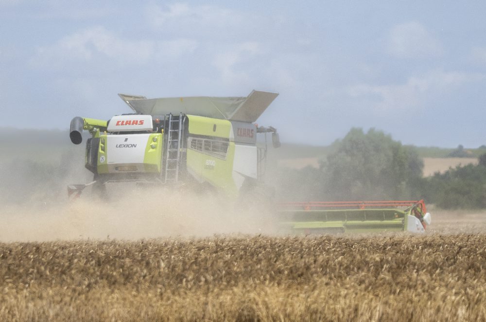 Žatva obilia medzi Slovenským Grobom a Chorvátskym Grobom 