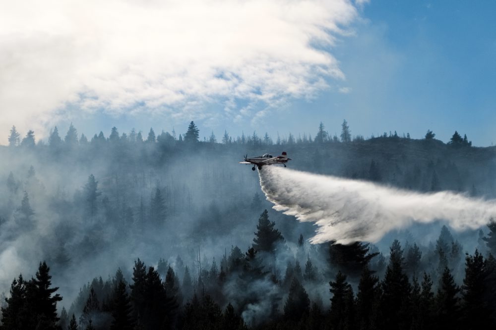 Argentína: Lesné požiare v Patagónii zničili vyše 15.000 hektárov porastov
