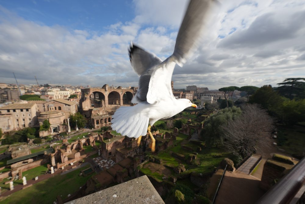 Rímske fórum a Koloseum 