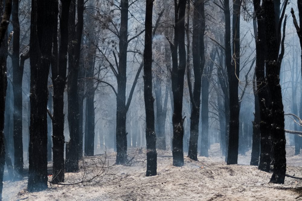 Argentína: Lesné požiare v Patagónii zničili vyše 15.000 hektárov porastov