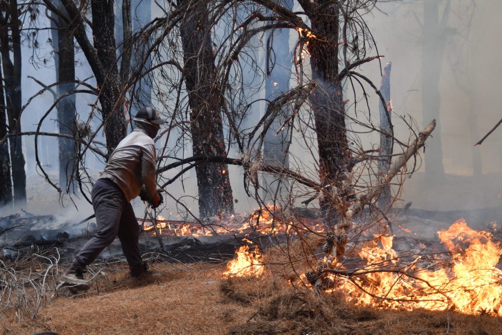 Argentína: Lesné požiare v Patagónii zničili vyše 15.000 hektárov porastov