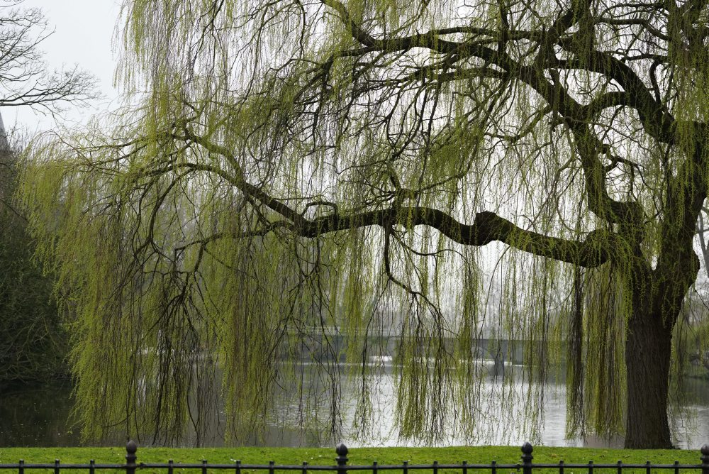 Denný život v Belgicku