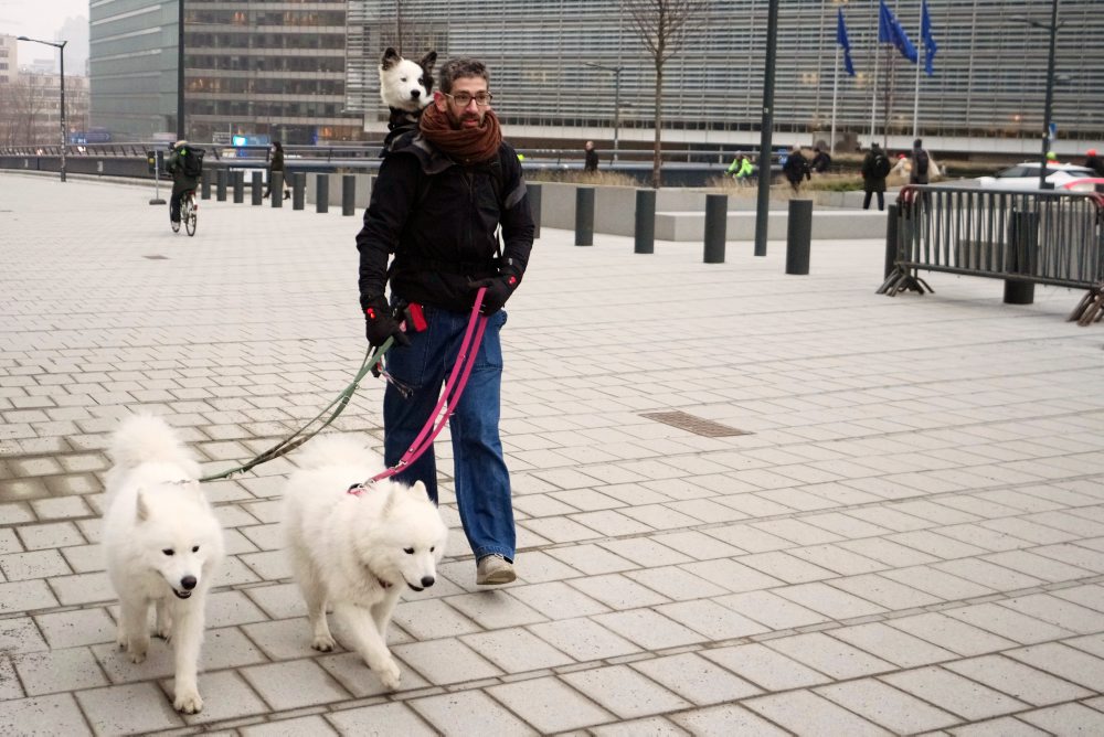 Denný život v Bruseli