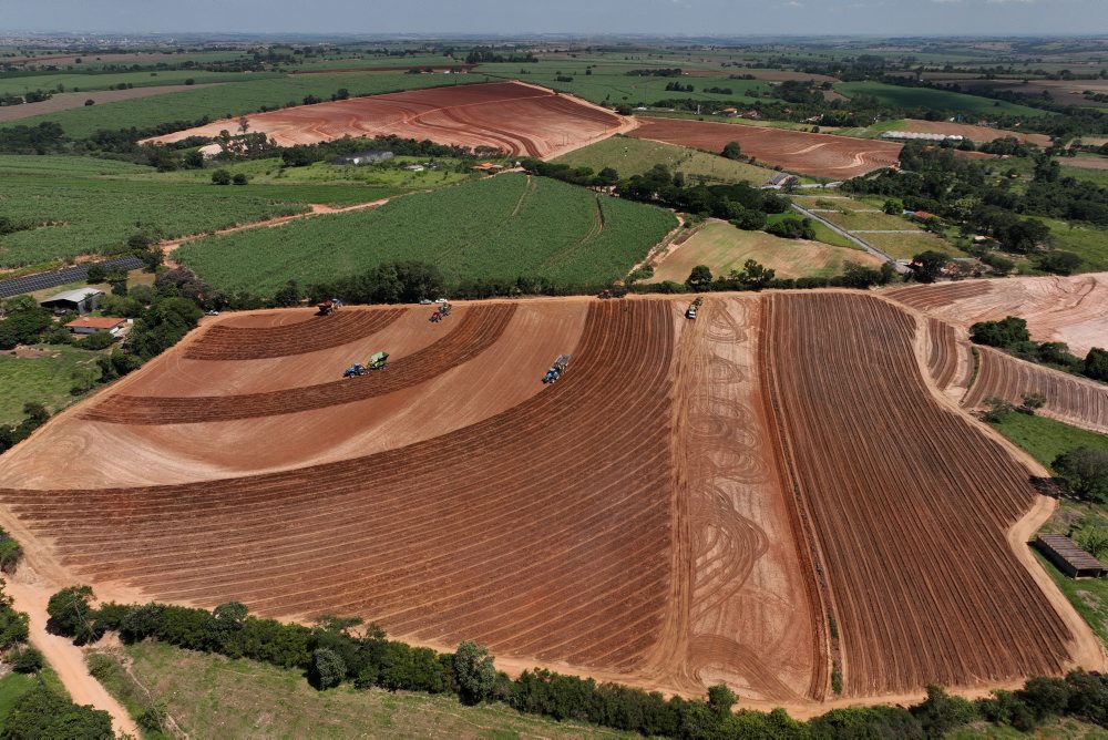 Plantáže cukrovej trstiny v Brazílii