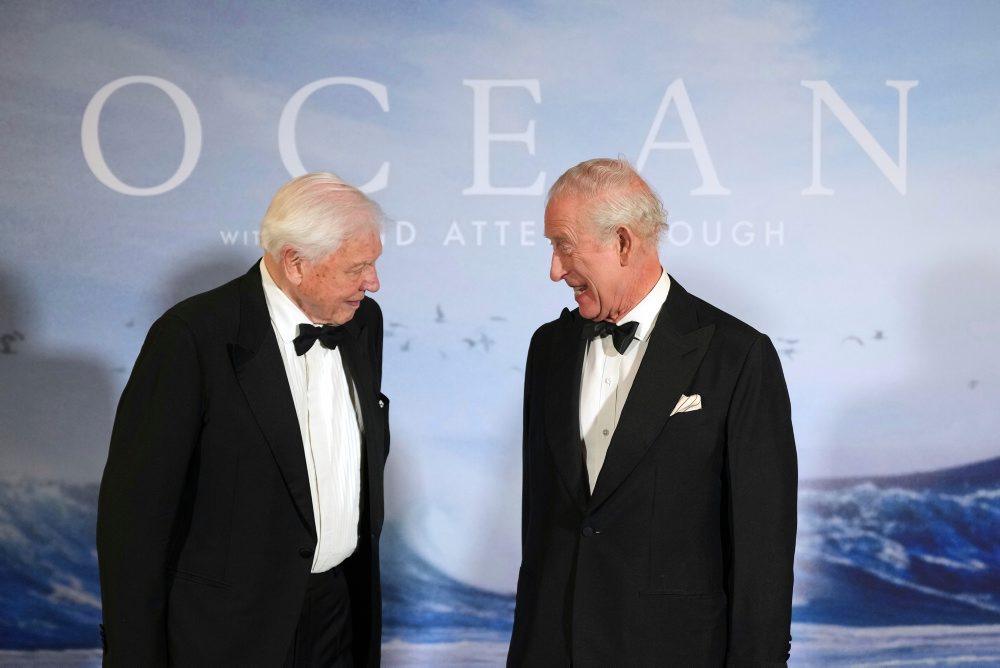 Sir David Attenborough sa dožíva 100 rokov 