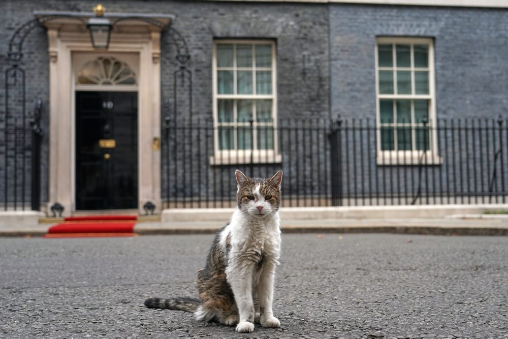 Kocúr Larry na Downing Street 10