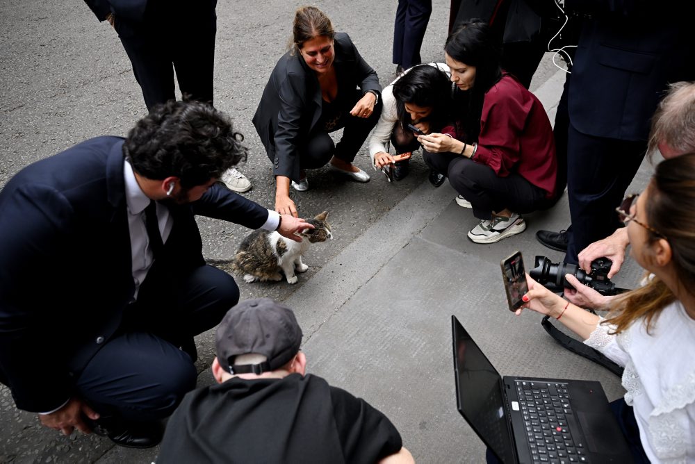 Kocúr Larry na Downing Street 10