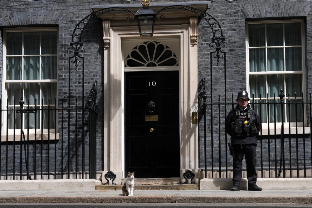 Kocúr Larry na Downing Street 10 v Londýne