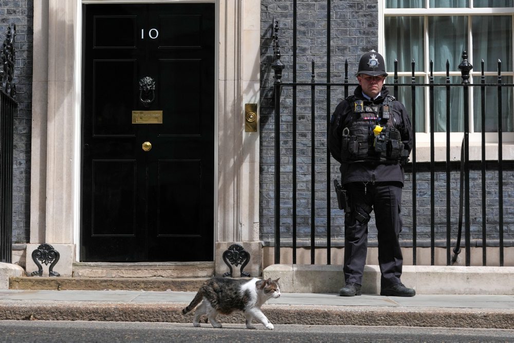 Kocúr Larry na Downing Street 10 v Londýne