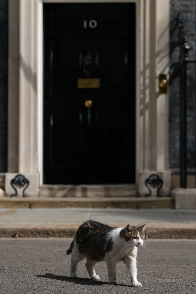 Kocúr Larry na Downing Street 10 v Londýne 