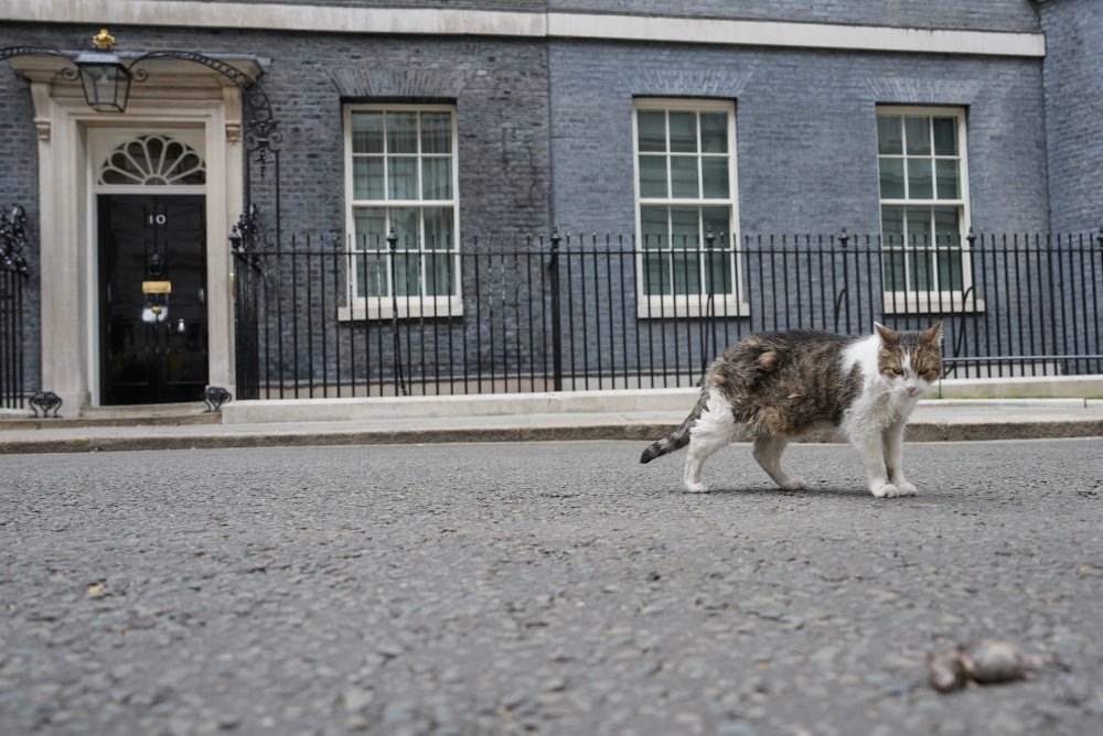 Britain Politics