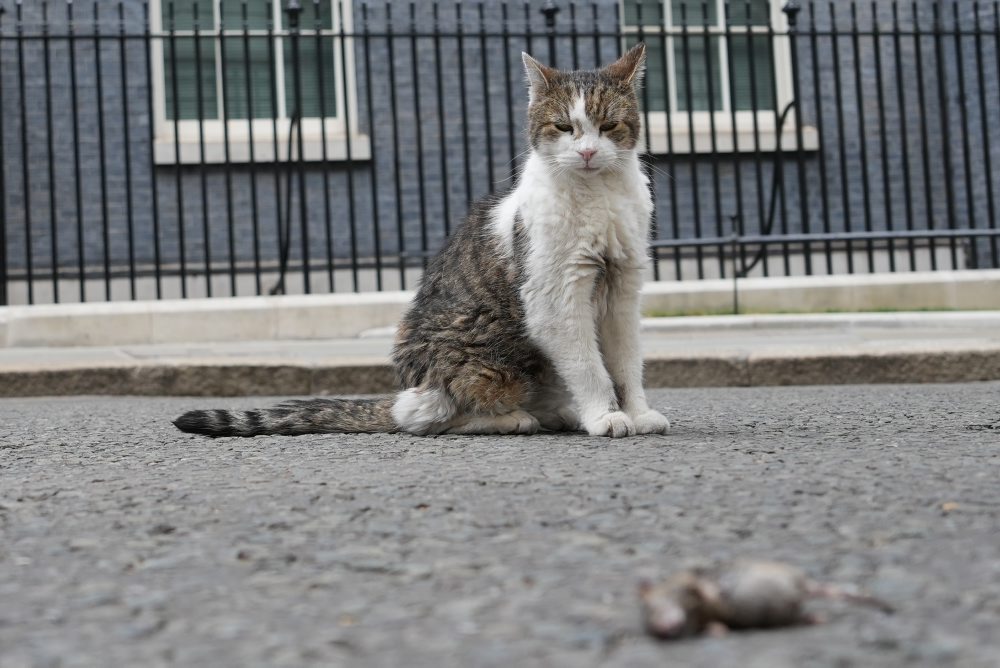 Britain Politics