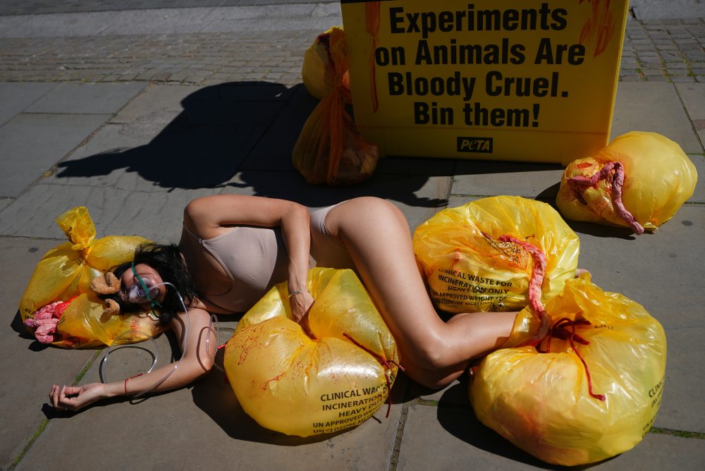 Protest aktivistiek PETA počas Svetového dňa laboratórnych zvierat