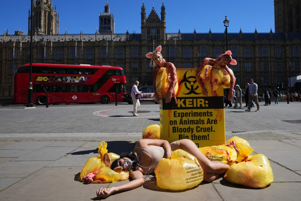 Protest aktivistiek PETA počas Svetového dňa laboratórnych zvierat