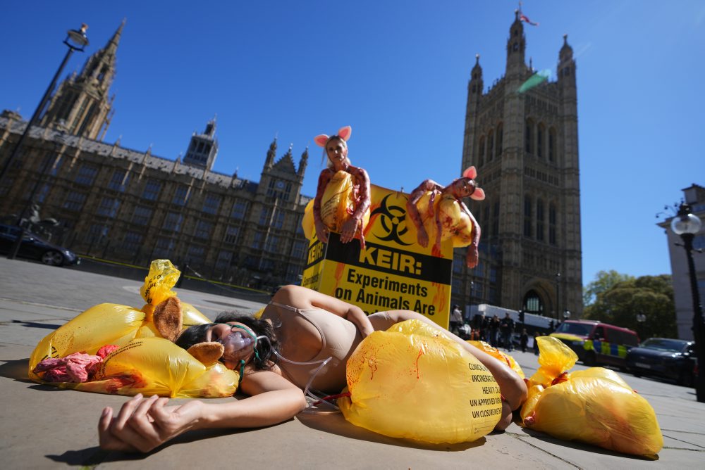 Protest aktivistiek PETA počas Svetového dňa laboratórnych zvierat