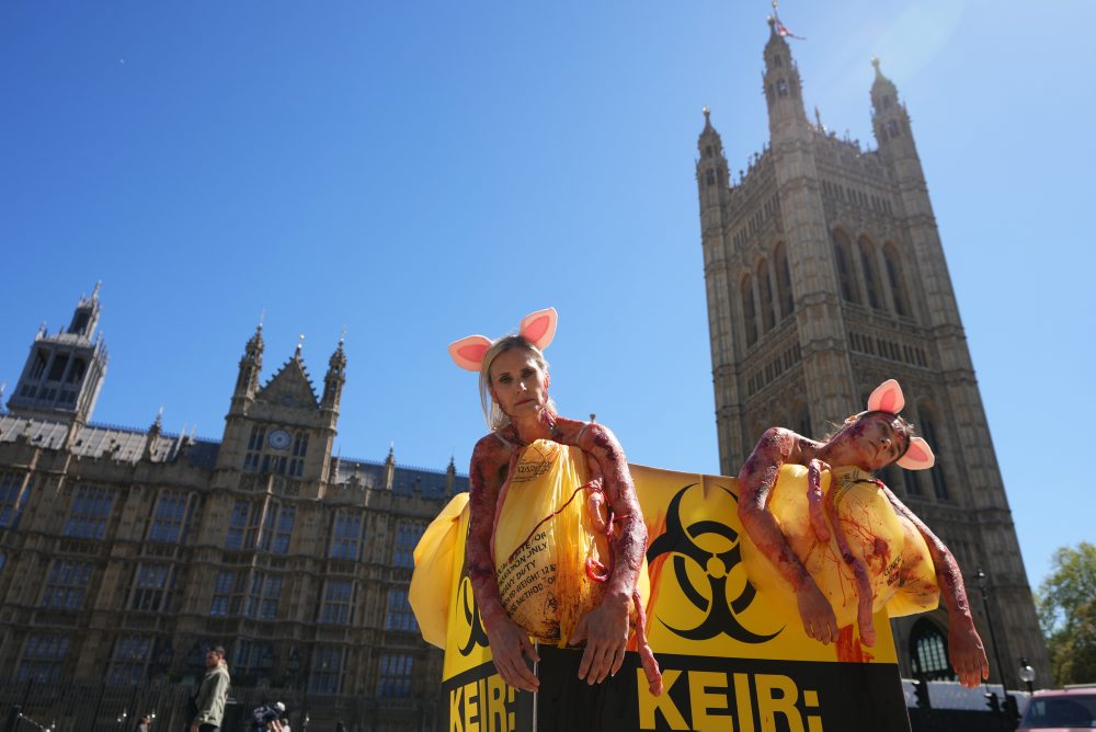 Protest aktivistiek PETA počas Svetového dňa laboratórnych zvierat