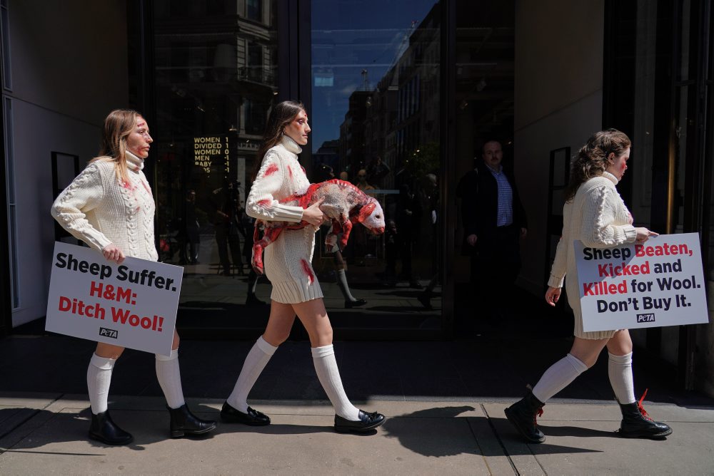 Protest proti používaniu ovčej vlny na výrobu odevov v Londýne