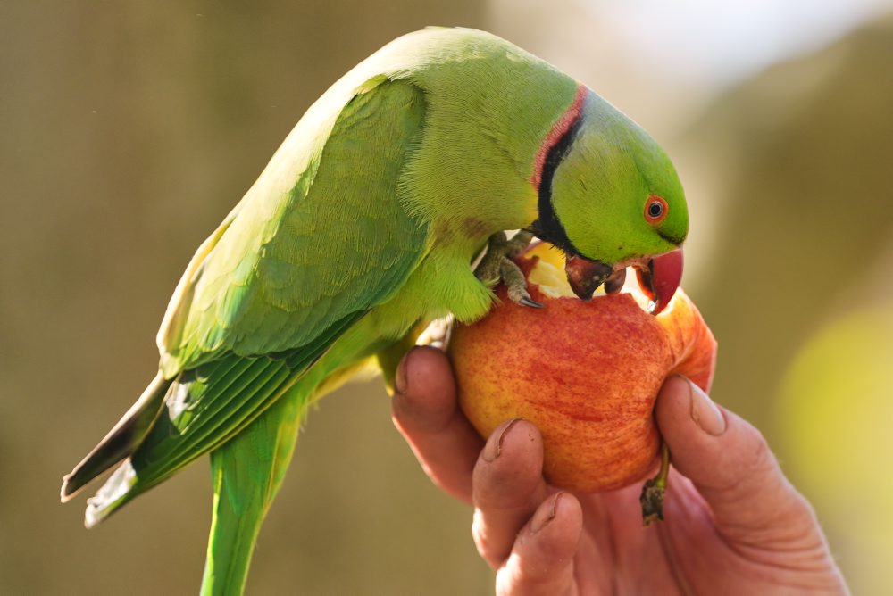 Slnečné počasie v Londýne 