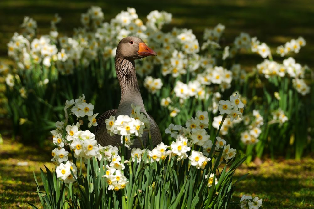 Slnečné počasie v Londýne 