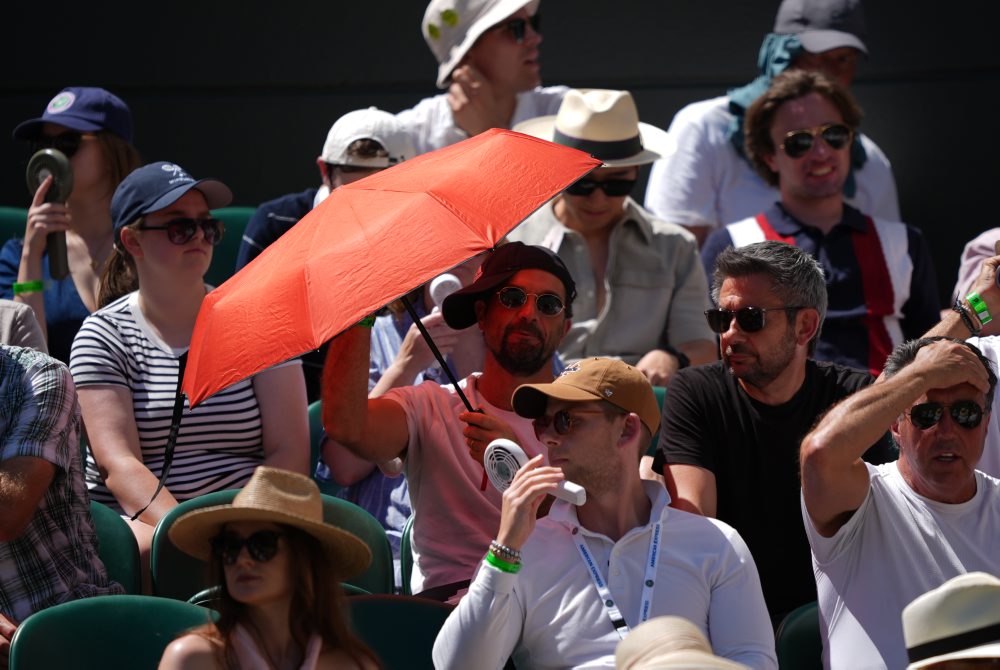 Flavio Cobolli - Alex de Minaur