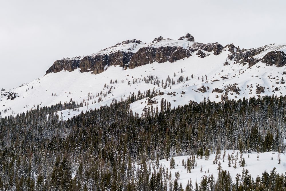 Fence Restricting Thornton State Beach In Daly City Dismantled