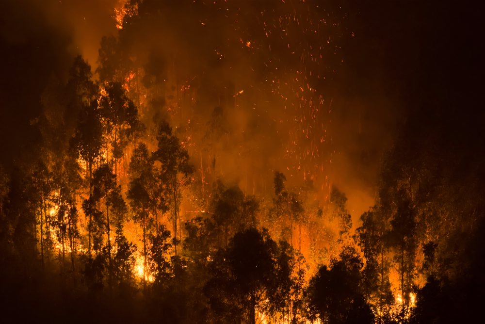 Lesné požiare v Čile 