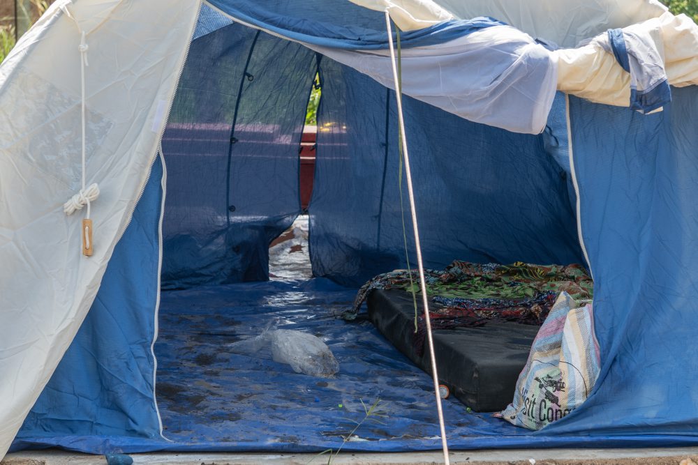 Ebola v KDR