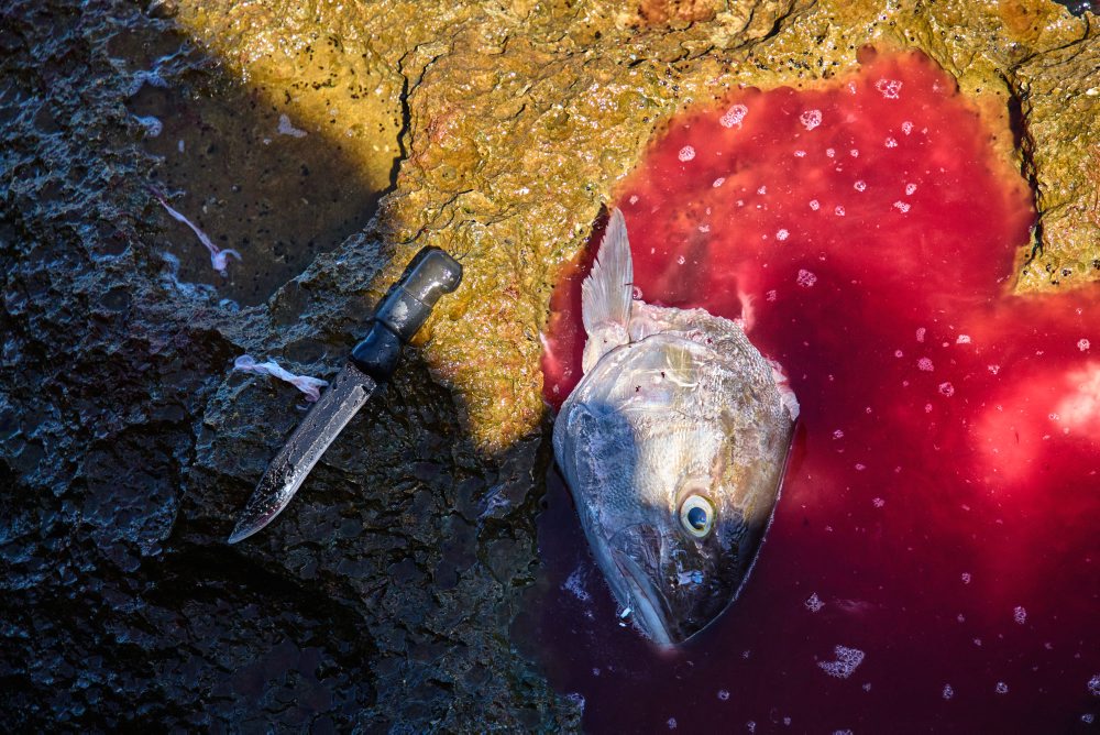 Kuba: Elektrická sieť po kolapse opäť funguje, dodávky sú obnovované postupne