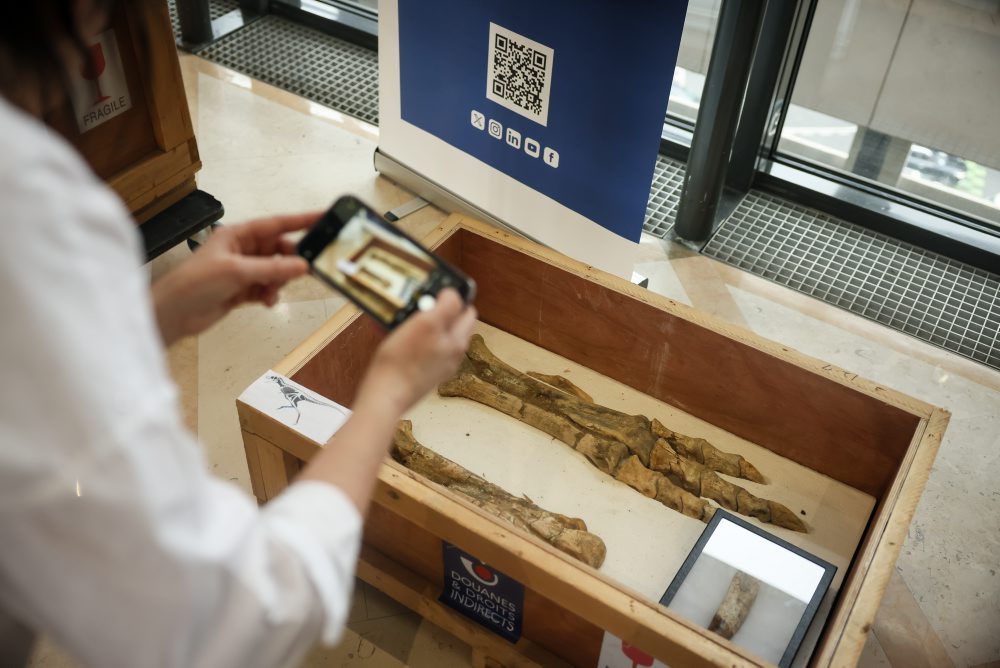 Francúzsko vrátilo Mongolsku pašovanú kostru dinosaura