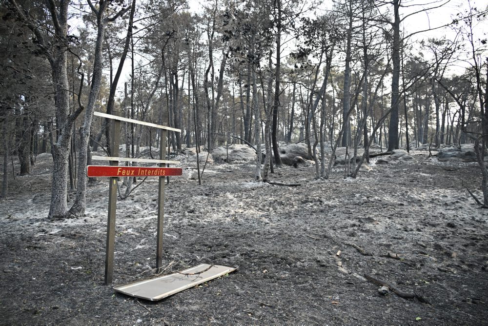 Požiar v lese Fontainebleau vo Francúzsku