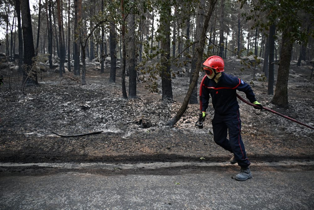 Požiar v lese Fontainebleau vo Francúzsku