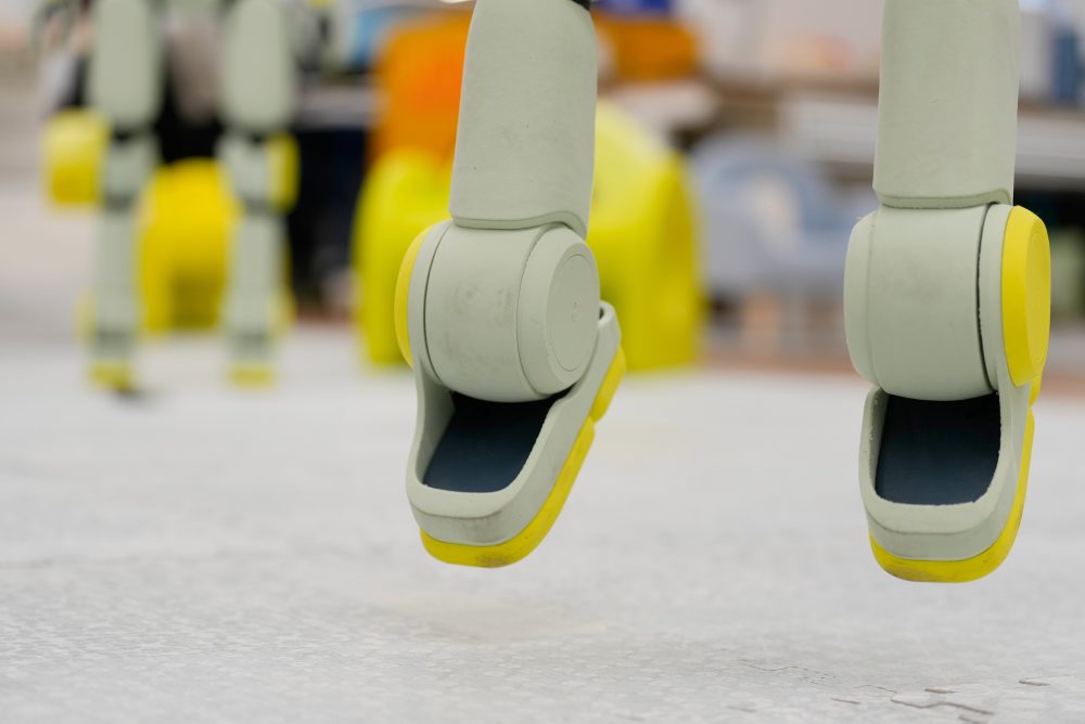 Priateľský humanoidný robot Sprout