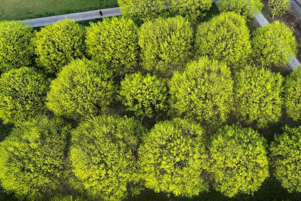 Denný život v Nemecku 