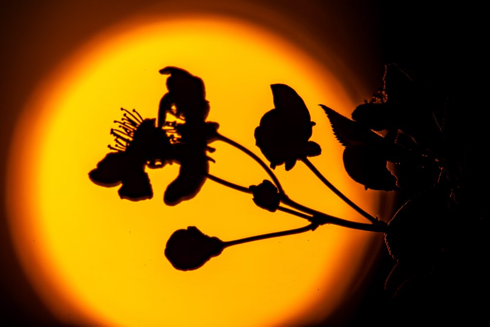 Denný život v Nemecku