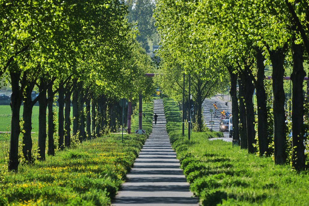 Denný život v Nemecku